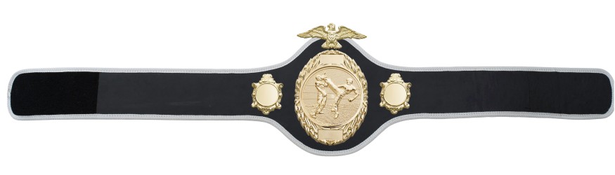 KICKBOXING CHAMPIONSHIP BELT-PRO288/G/KBOG - 10 COLOURS KICKBOXING CHAMPIONSHIP BELT-PRO288/G/KBOG - 10 COLOURS